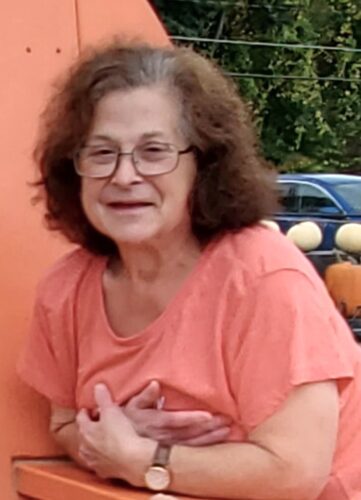 Christine C. Meadows (Covert)